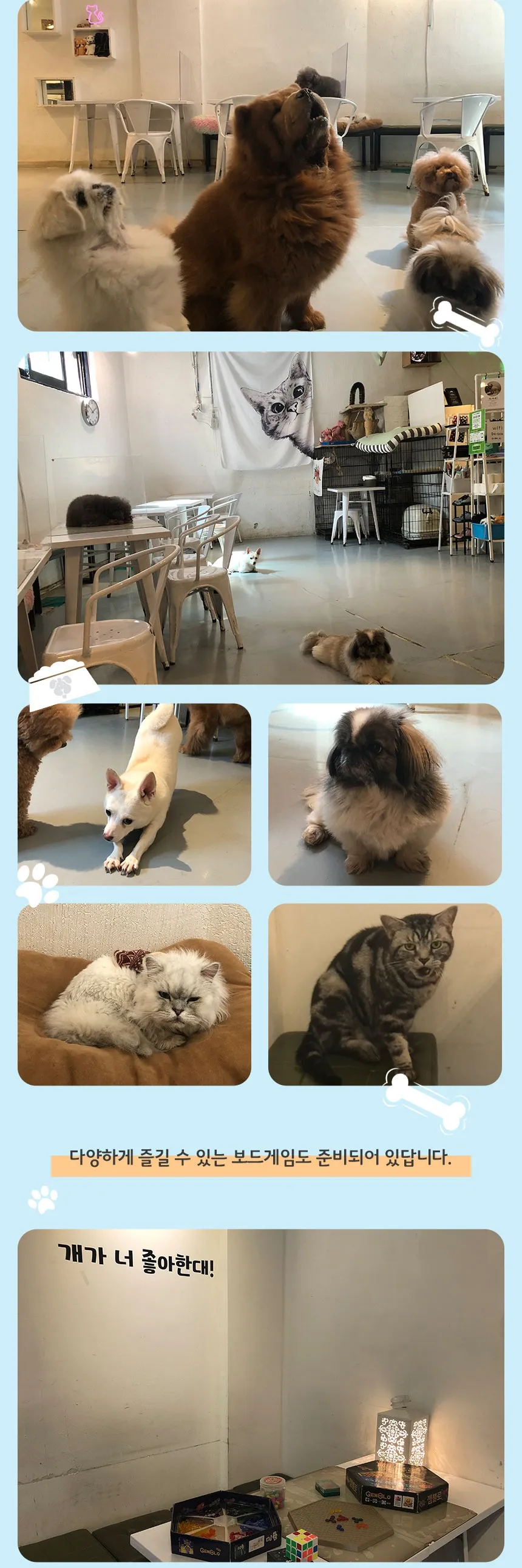 상세이미지